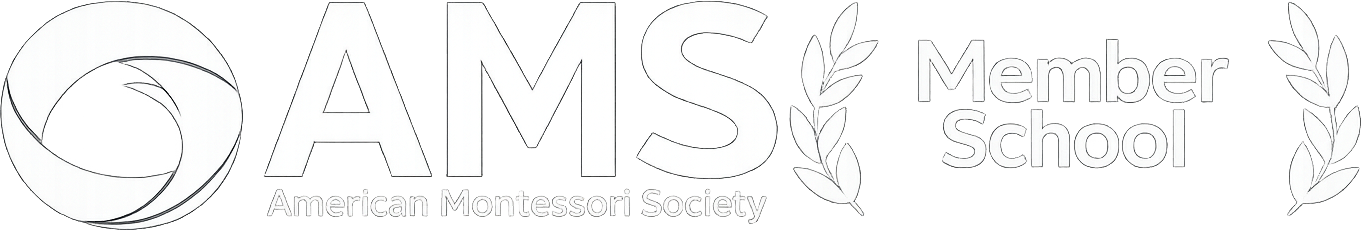 AMS